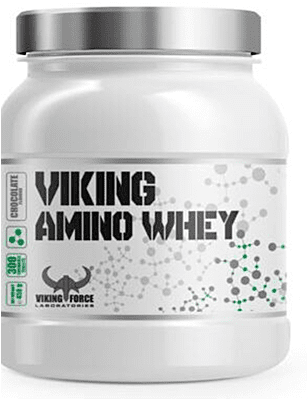 Amino Whey, Viking Force, 300 chews, امينو وي شركة فايكنك, ٣٠٠ علكة.